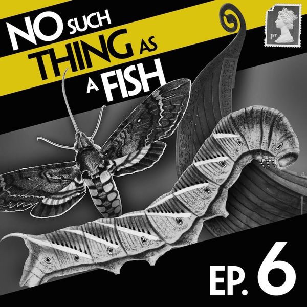 Episode image