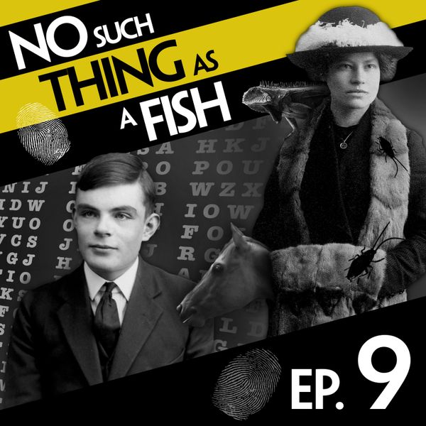 Episode image