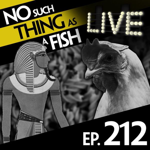 Episode image