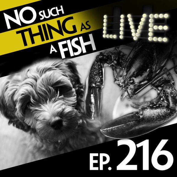 Episode image