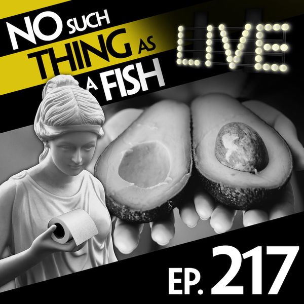 Episode image
