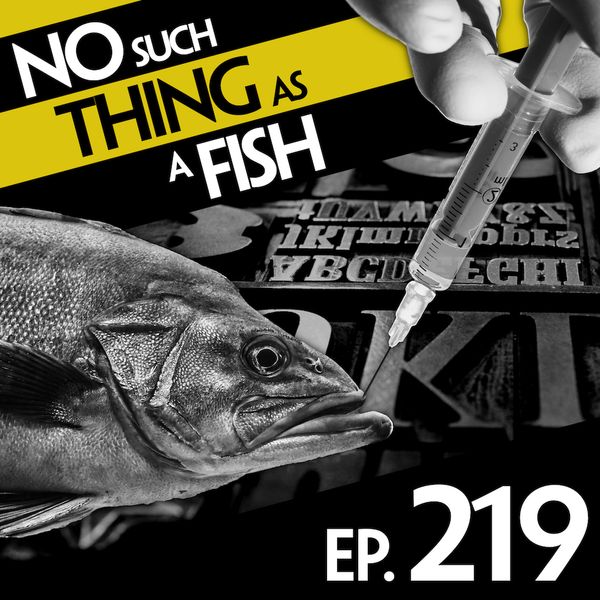 Episode image