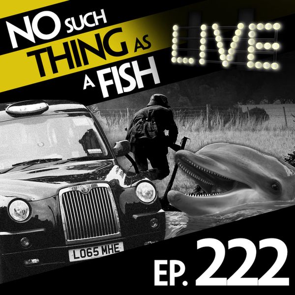 Episode image