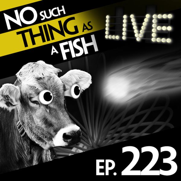 Episode image