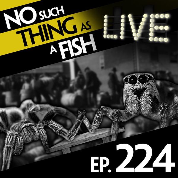 Episode image