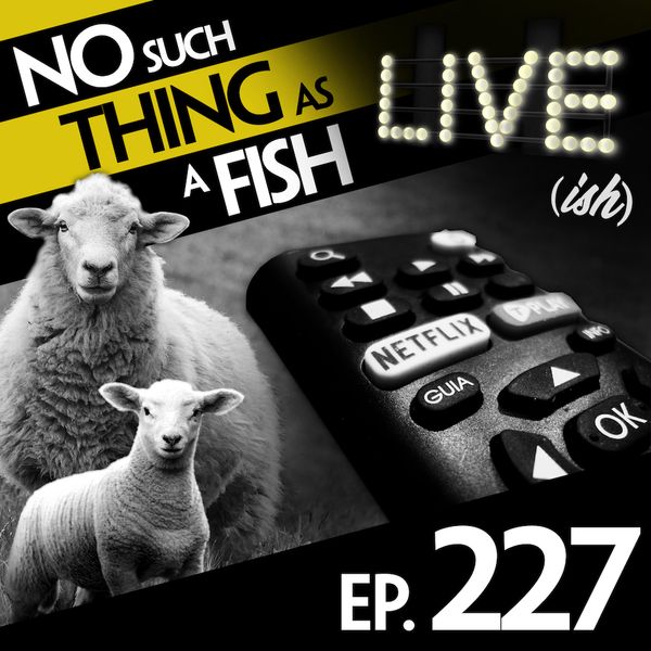 Episode image