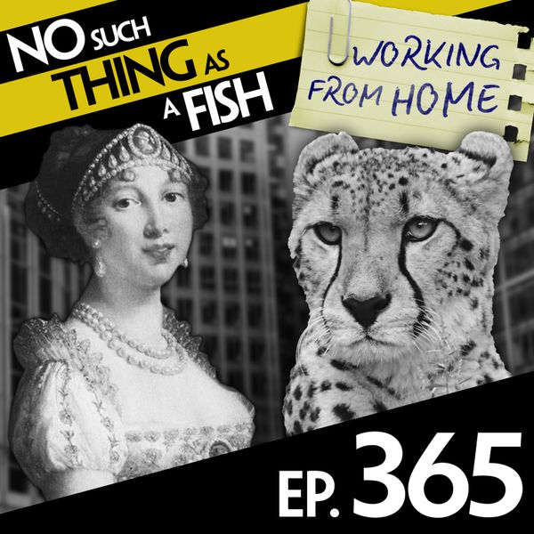 Episode image