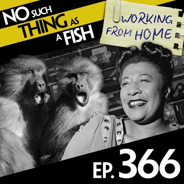 Episode image