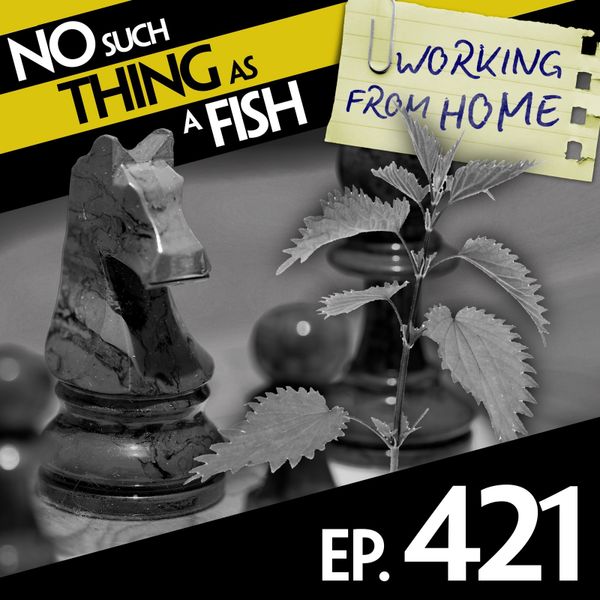 Episode image