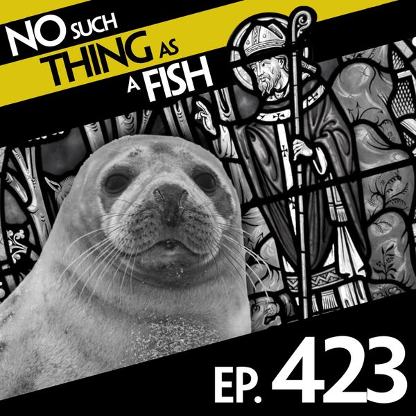 Episode image