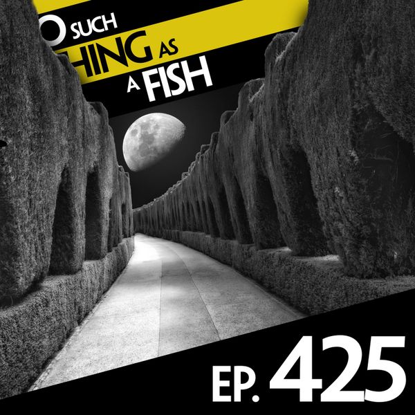 Episode image