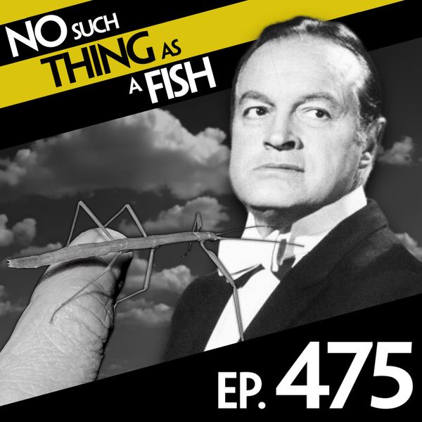 Episode image