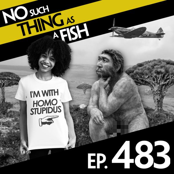 Episode image