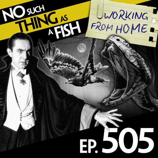 Episode image