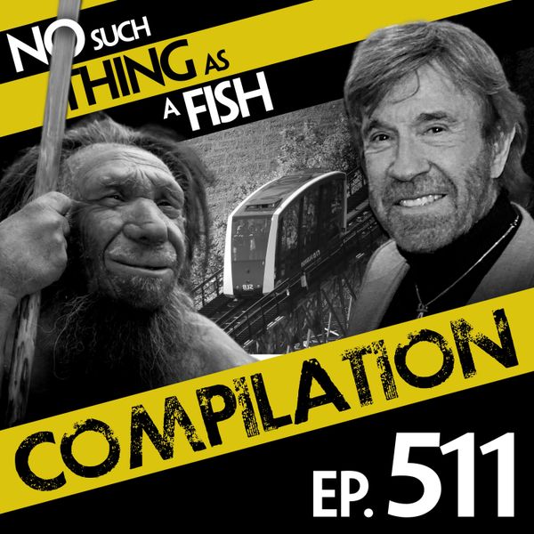 Episode image