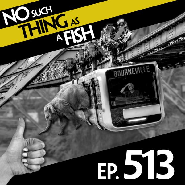 Episode image