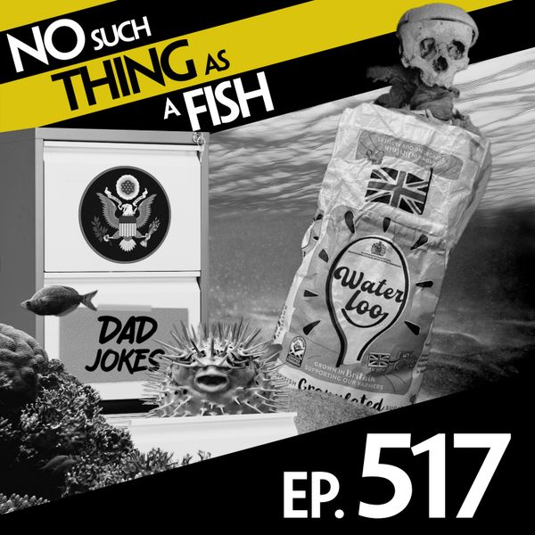 Episode image