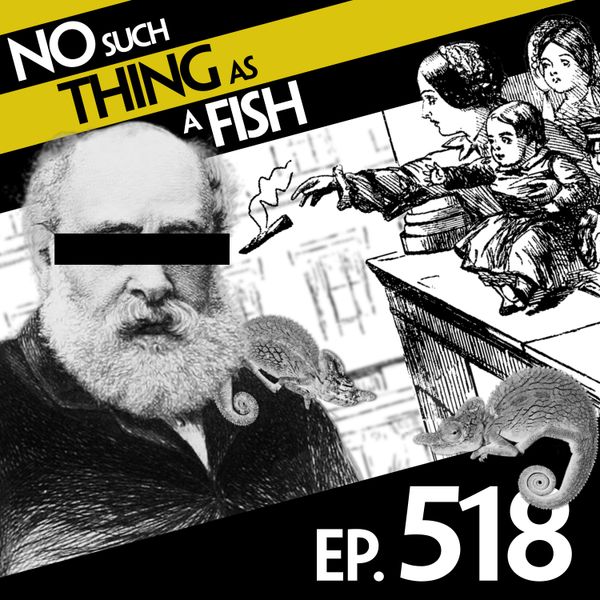 Episode image