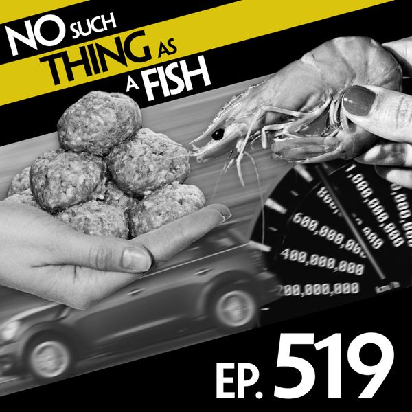 Episode image