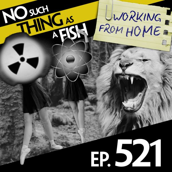 Episode image