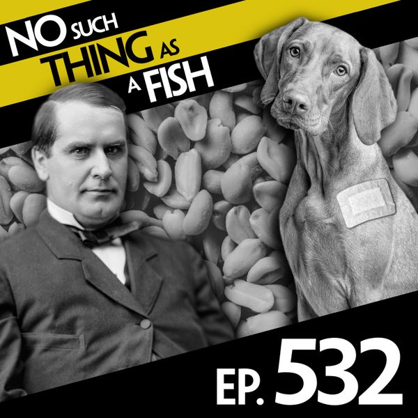 Episode image