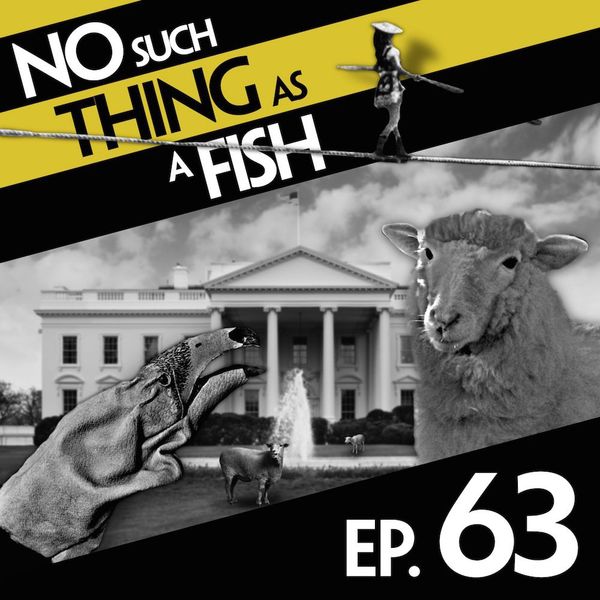 Episode image