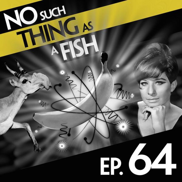 Episode image