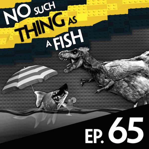 Episode image