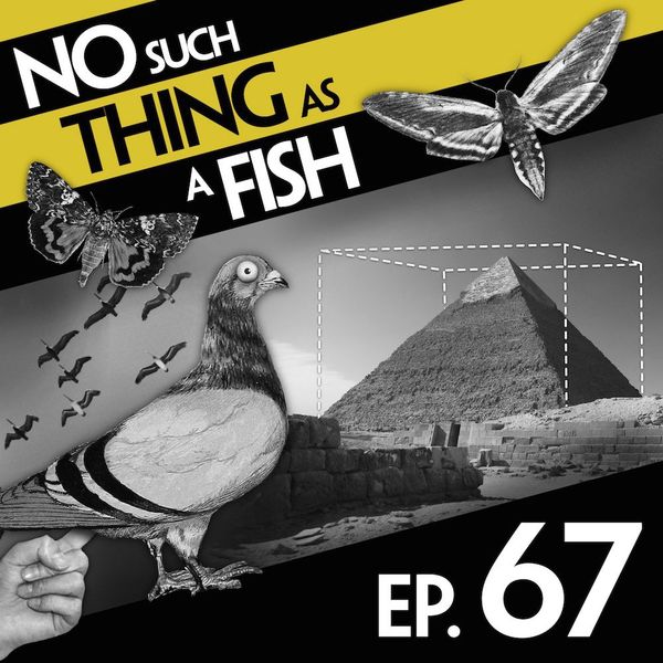 Episode image