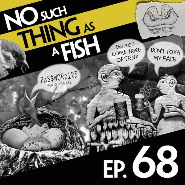 Episode image