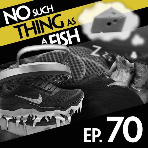 Episode image