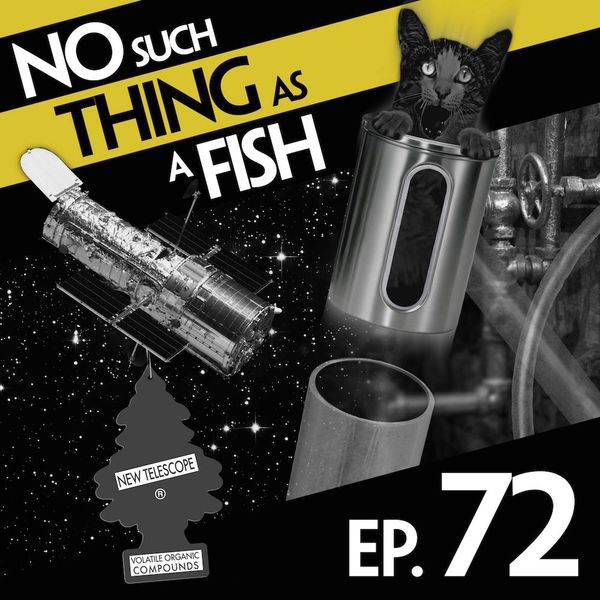 Episode image