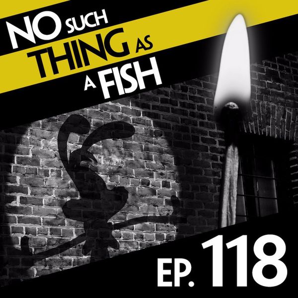 Episode image
