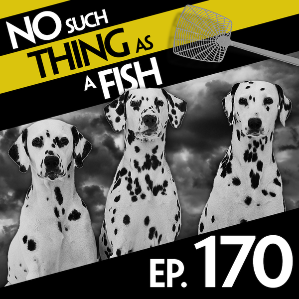 Episode image