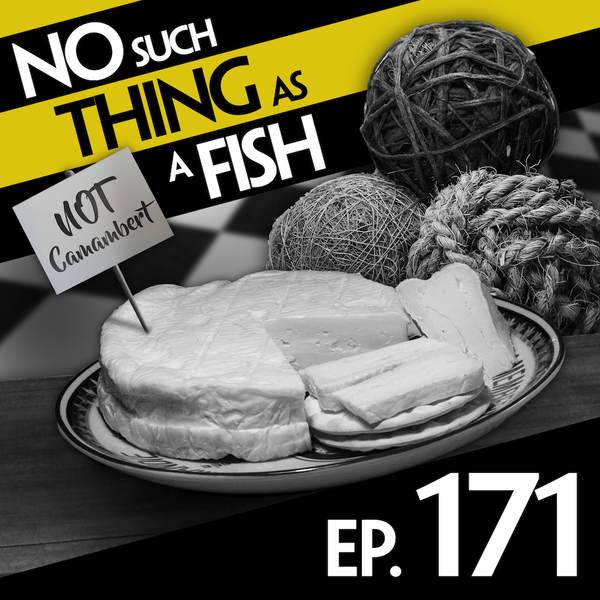 Episode image