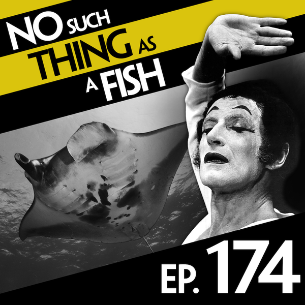 Episode image