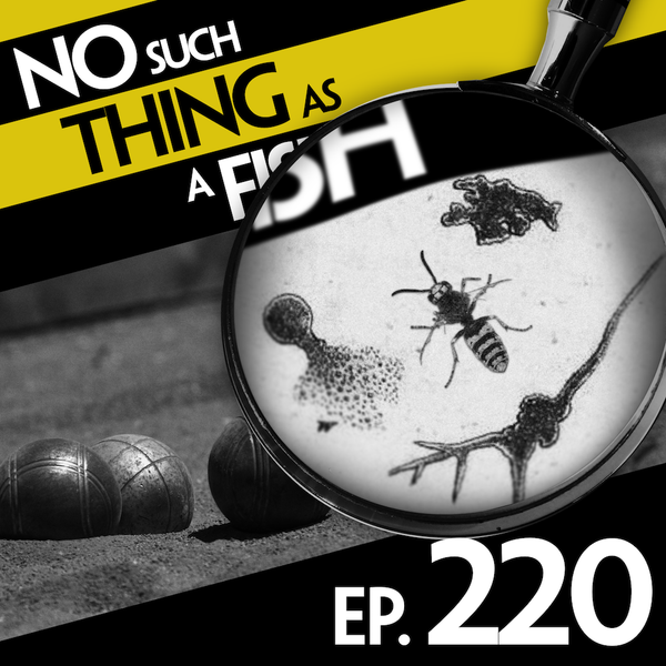 Episode image